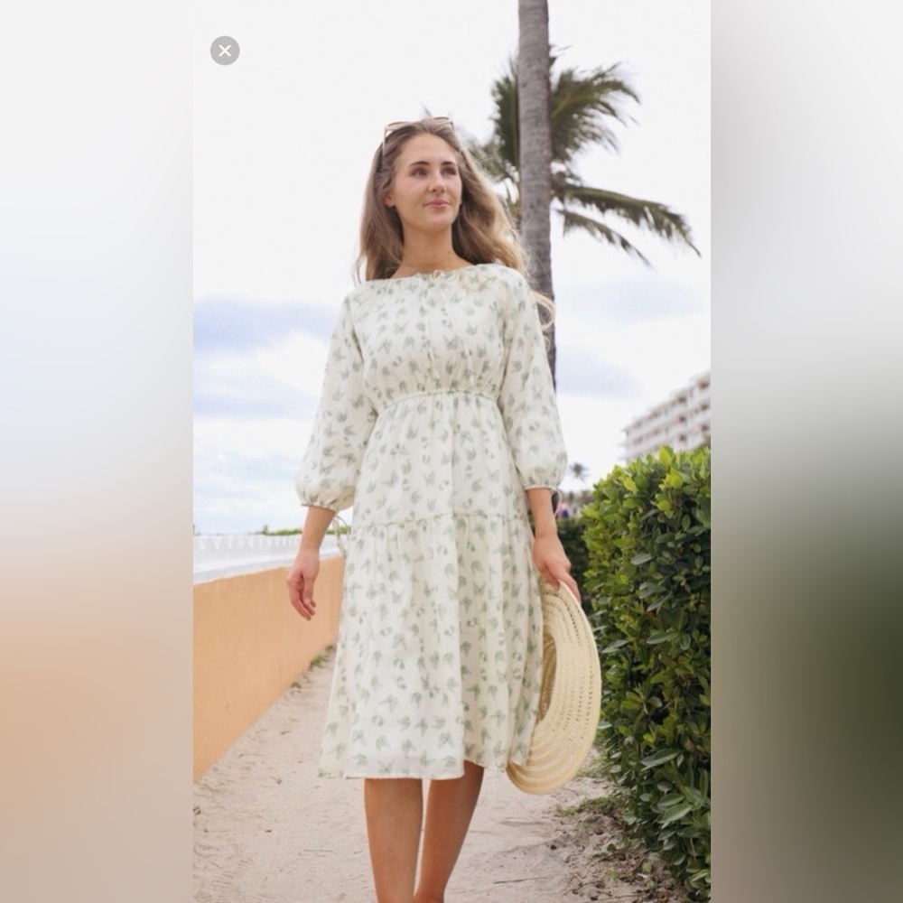 Elegant butterflie Women's Dress